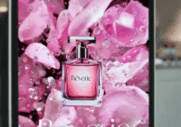 LG Smart Monitor Swing